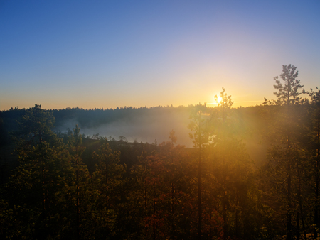 dawn in the forest over the lakeの写真素材