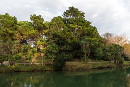autumn landscape with a pond in a southern parkの写真素材