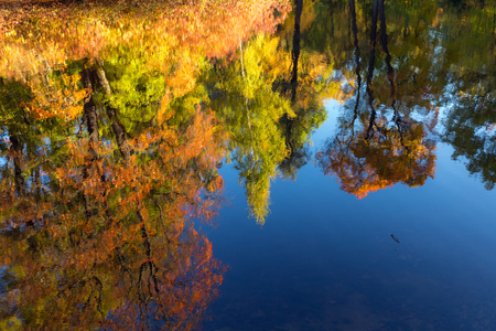 reflections of autumn trees in blue waterの写真素材