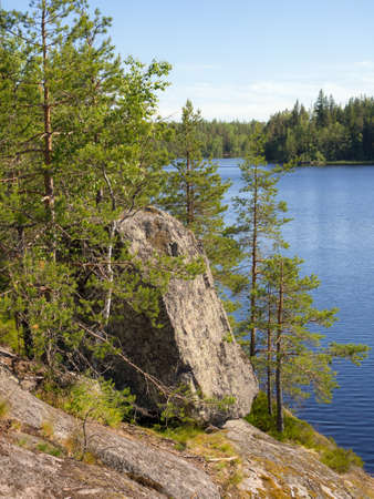 rocks and pines on the shore of a forest lakeの写真素材