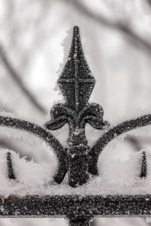 frost on a fragment of a metal fence closeupの写真素材