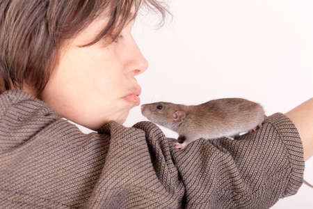portrait of a woman with a brown domestic ratの写真素材