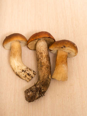 three mushrooms on the table close upの写真素材