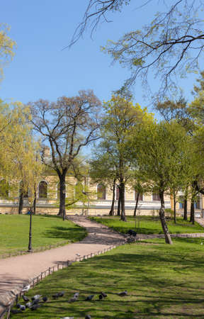 landscape in the park on a spring sunny dayの写真素材