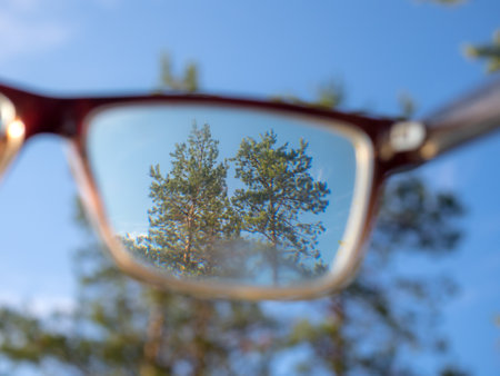 view of the trees and the sky through the lens of glassesの写真素材