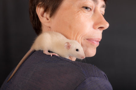 white baby rat on the shoulder of a womanの写真素材