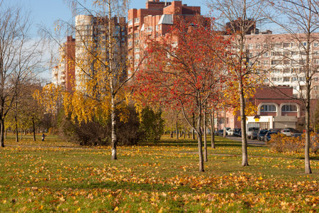 landscape in the autumn city park on a sunny dayの写真素材