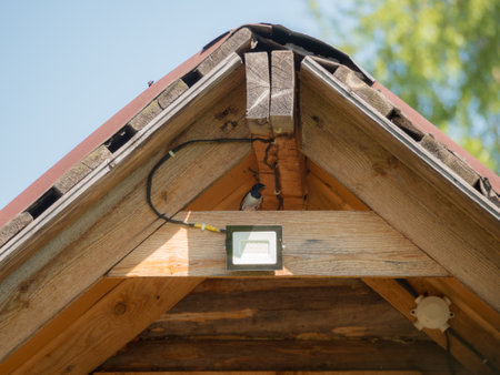 swallow on the roof of a wooden houseの写真素材