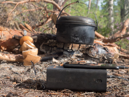 using a power bank to charge your phone in the wildernessの写真素材