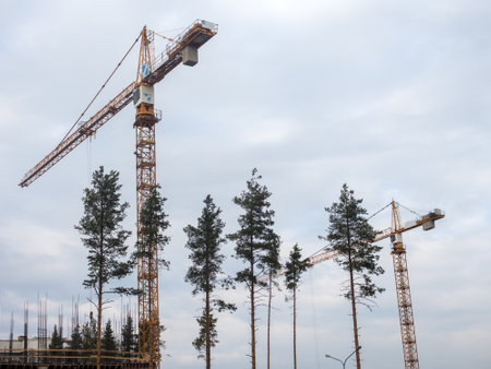 construction site in a pine forestの写真素材