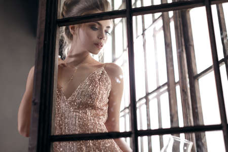 beautiful girl in evening dress