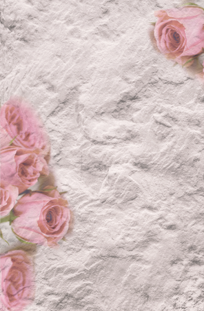 pink and rose vintage background with rosesの写真素材