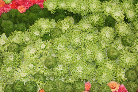 flower picture of roses, carnations and chrysanthemumsの写真素材