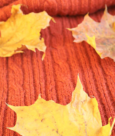 plaid knitted with braids and dry maple leaves