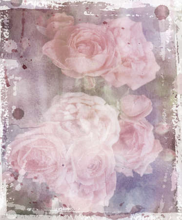 watercolor drawing branches of roses with leaves and budの写真素材