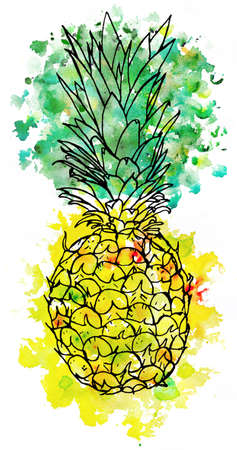 pineapple painted with black ink and watercolorの写真素材
