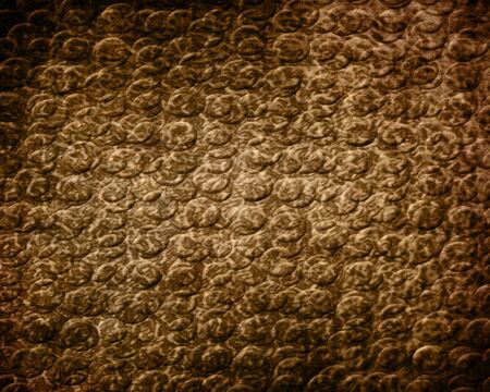 Reptile skin close up with soft shades
