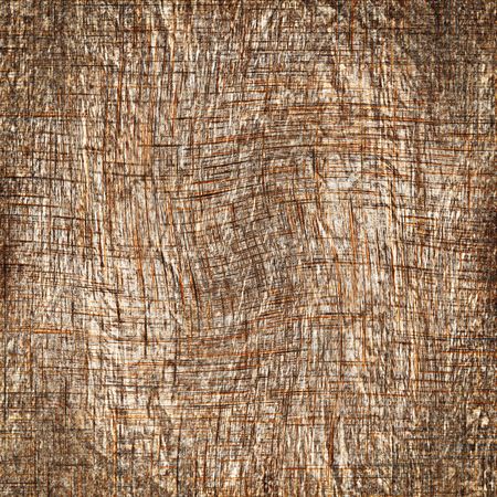 bark texture with some spots on it