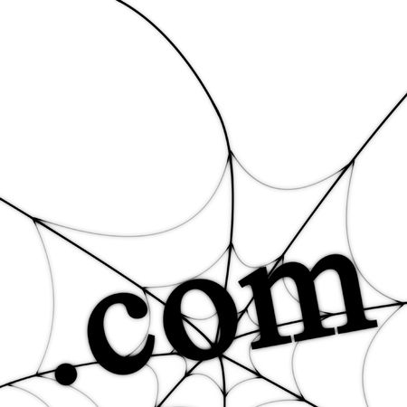 extension of a website on a spider web backgroundの写真素材