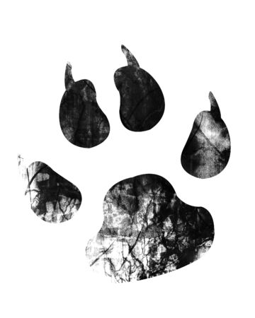 grunge paw print on a white backgroundの写真素材