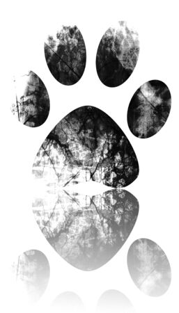 grunge paw print on a white backgroundの写真素材