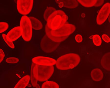 Red blood cells on a dark backgroundの写真素材