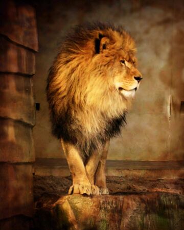 Old paper texture with some stains on itの写真素材