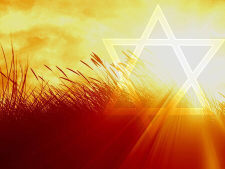 marram grass on a bright orange backgroundの写真素材