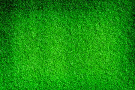 Green and fresh grass background with soft highlightsの写真素材