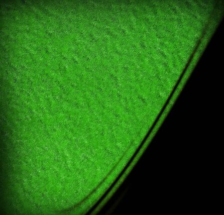 Green texture with darker shades and soft highlightsの写真素材