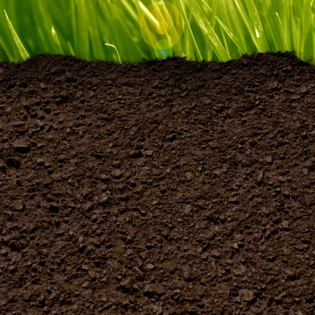 green grass background with a soil textureの写真素材