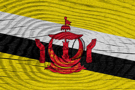Brunei flag with some soft highlights and folds