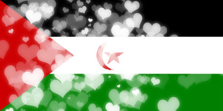 Western sahara flag with some soft highlights and foldsの写真素材