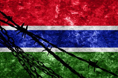 Gambia flag with some soft highlights and foldsの写真素材