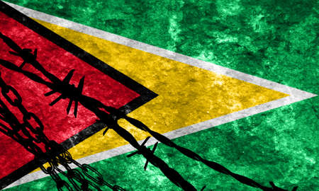 Guyana flag with some soft highlights and foldsの写真素材
