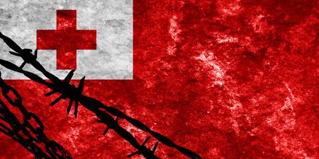 Tonga flag with some soft highlights and foldsの写真素材