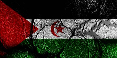 Western sahara flag with some soft highlights and foldsの写真素材