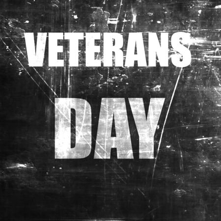 veterans day background with some soft smooth linesの写真素材