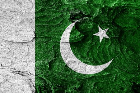 Pakistan flag with some soft highlights and folds