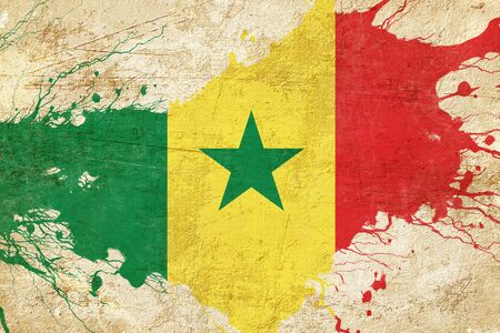 Senegal flag with some soft highlights and foldsの写真素材