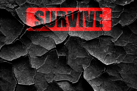 Grunge cracked survive or die sign with some soft flowing linesの写真素材