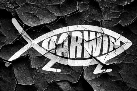 darwin fish symbol with some soft smooth linesの写真素材