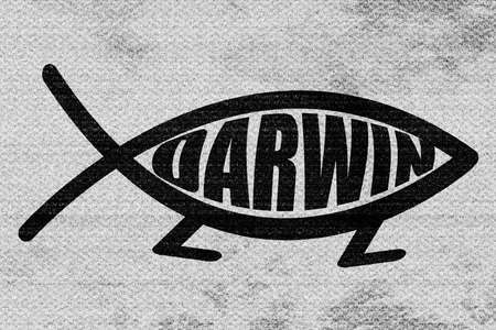 darwin fish symbol with some soft smooth linesの写真素材