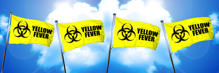 Yellow fever flag, 3D rendering