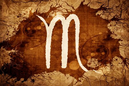 scorpio zodiac signの写真素材