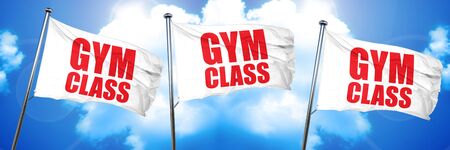 gym class, 3D rendering, triple flagsの写真素材