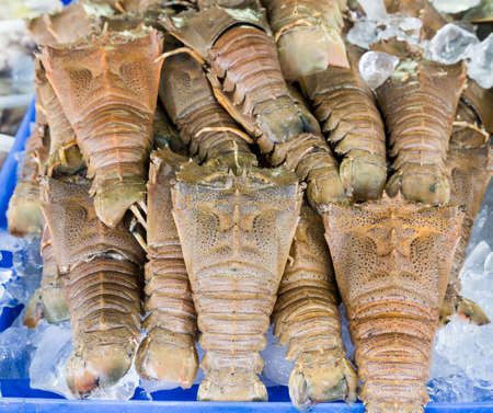 Fresh big Flatheaded lobster  Thenus orientalis  in seafood marketの写真素材