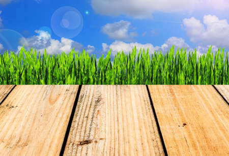 green grass with wooden wall on blue sky backgroundの写真素材