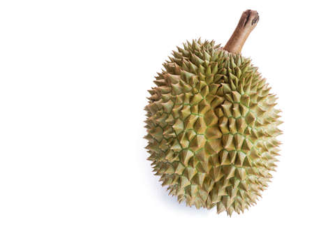 King of fruits, durian isolated on white backgroundの写真素材