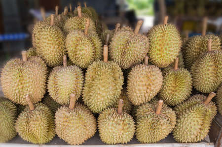 Durian in the marketの写真素材